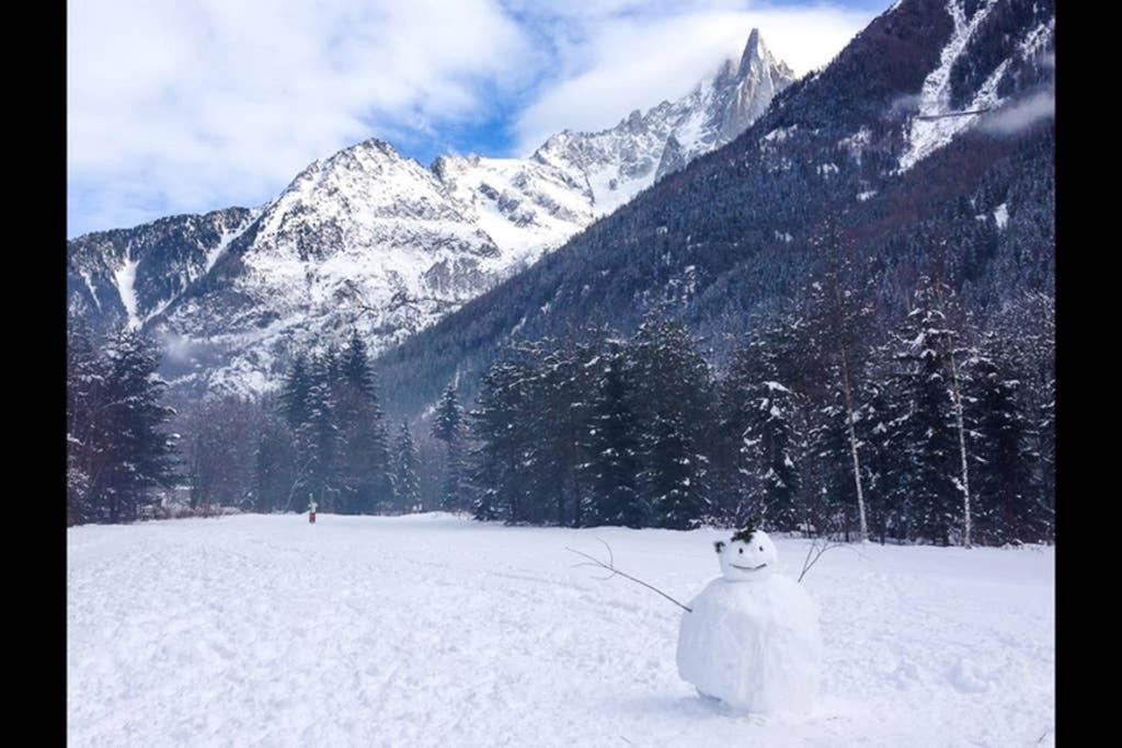 Apartment Chinook,La Praz,Chamonix Mont Blanc Bagian luar foto