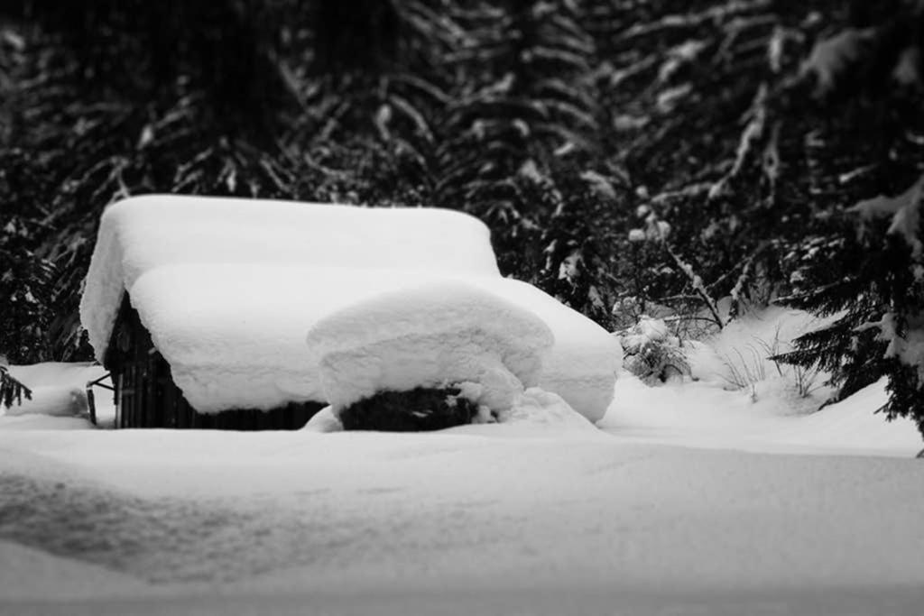 Apartment Chinook,La Praz,Chamonix Mont Blanc Bagian luar foto