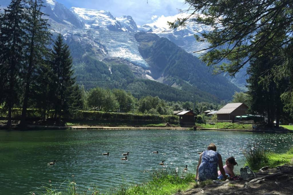 Apartment Chinook,La Praz,Chamonix Mont Blanc Bagian luar foto