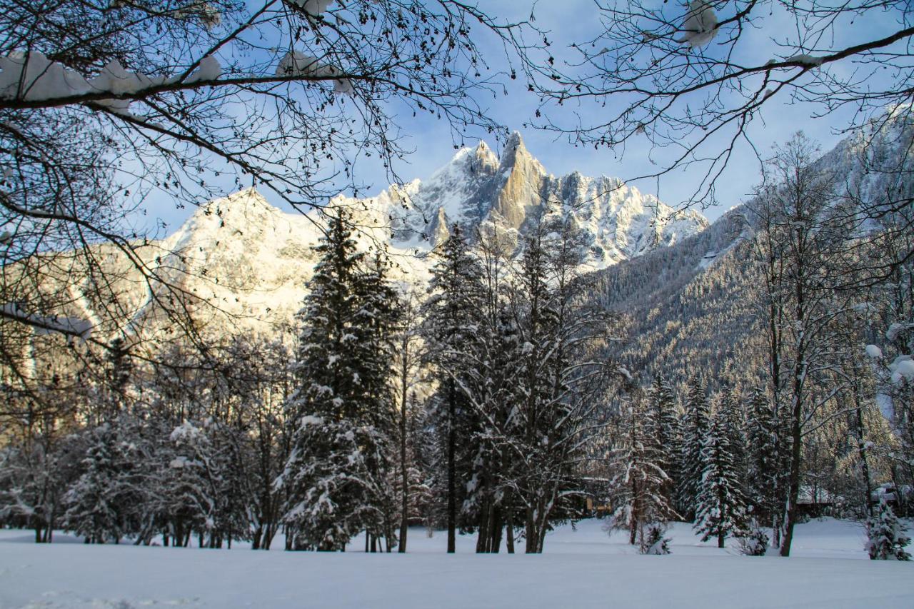 Apartment Chinook,La Praz,Chamonix Mont Blanc Bagian luar foto